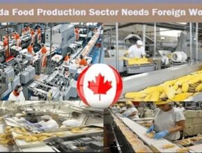 Canada Factory Worker Jobs